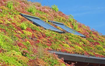 Lydiate living roof systems