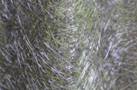 Lydiate fibreglass roof work